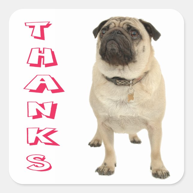 Danke Mops Puppy Docking Stickers / Siegel (Vorderseite)