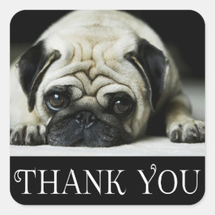 Danke Mops Puppy Dog Black & White Quadratischer Aufkleber
