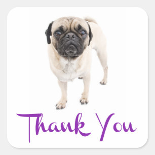 Danke Mops Welpen Hund Gruß Aufkleber / Etikett