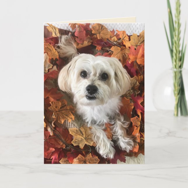 Danke Morkie I - Blank Card Karte (Vorderseite)