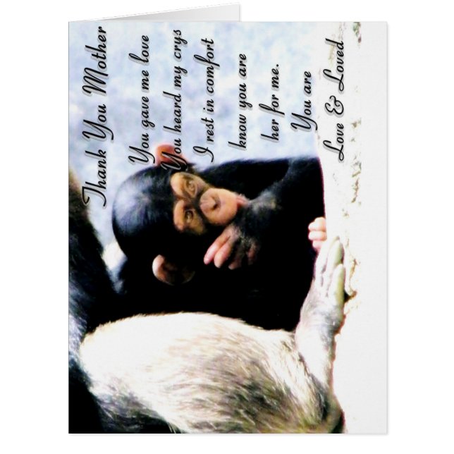 Danke Mother_ (Vorderseite)