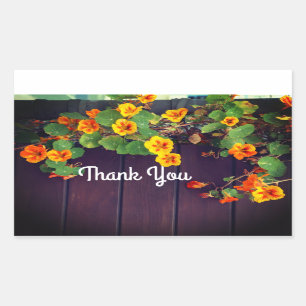Danke Nasturtium Stickers