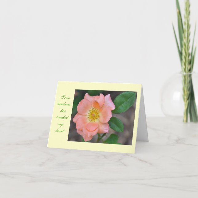 Danke notecards (Vorderseite)