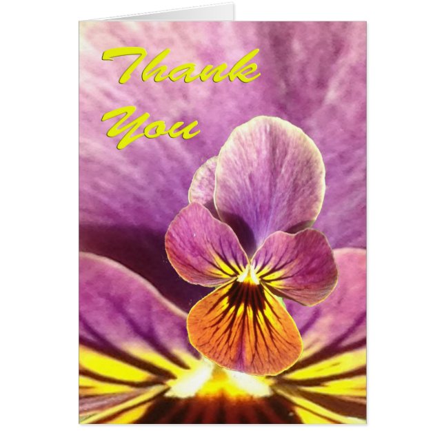 Danke, Pansy Blume (Vorne)