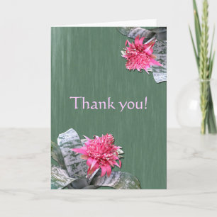 Danke Pink Flower Bromeliad