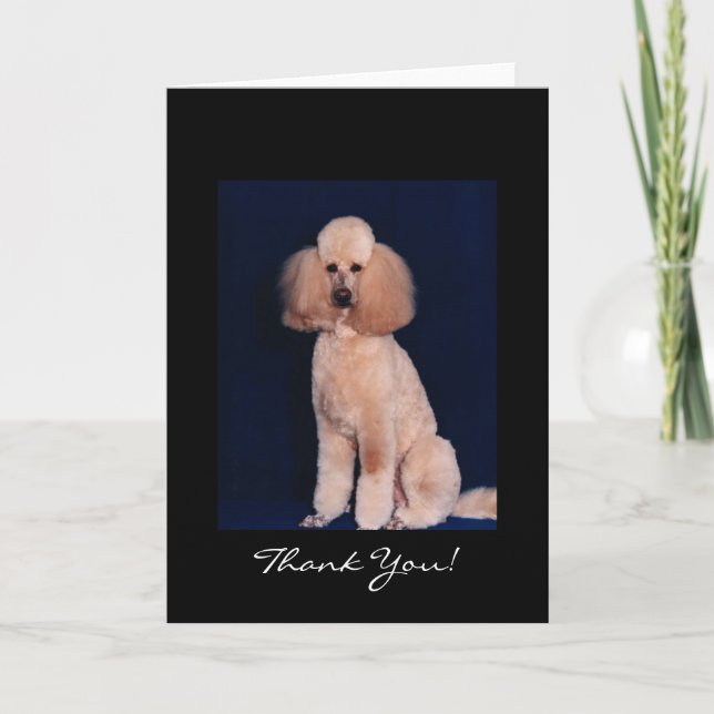 Danke, Poodle Card Dankeskarte (Vorderseite)