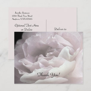 Danke Postcard, Pink Rose Postkarte