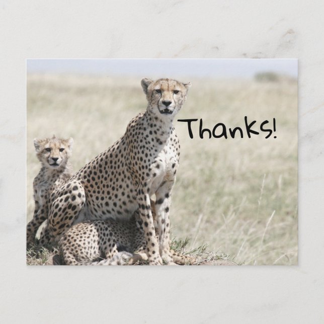 Danke Postkarte (Vorderseite)