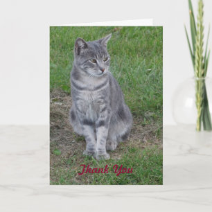 Danke, Purrfect Geschenk Dankeskarte