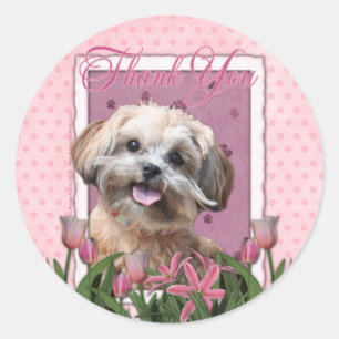 Danke - rosa Tulpen - ShihPoo - Maggie Runder Aufkleber