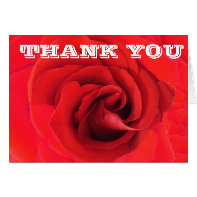 Danke Rote Rose Blume Nah-up Foto Floral (Vorderseite (Horizontal))