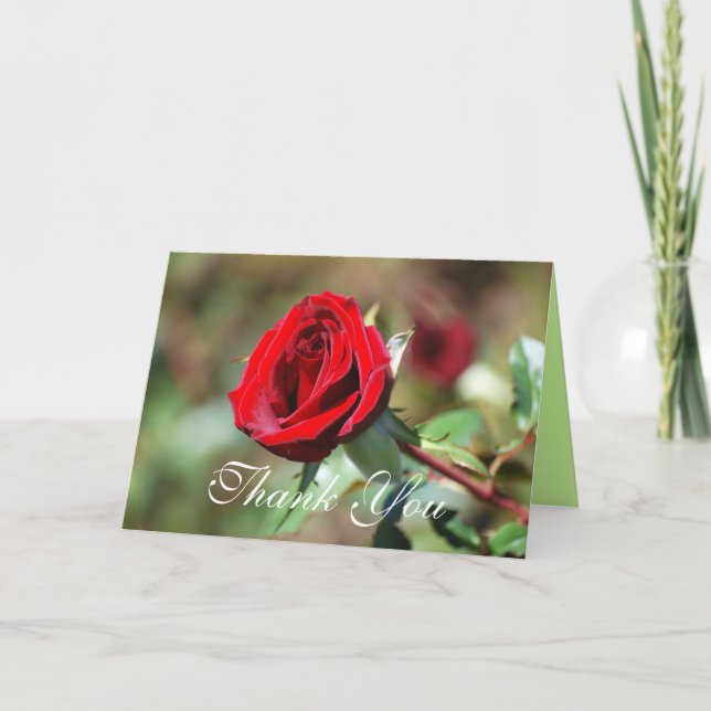 Danke Rote Rose Card (Vorderseite)