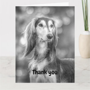Danke, Saluki Karte