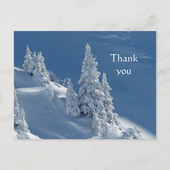 Danke schön Schneebäume Postkarte (Vorderseite)