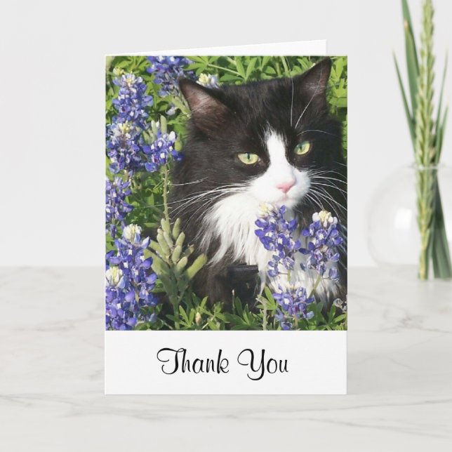 Danke, Smokings-Katze in TexasBluebonnets zu Dankeskarte (Vorderseite)