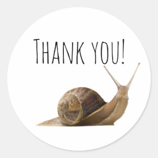 Danke Snail Runder Aufkleber