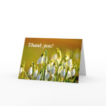 Danke, Snowdropps Blume