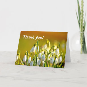 Danke, Snowdropps Blume Dankeskarte