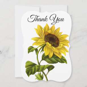 Danke Sonnenblume