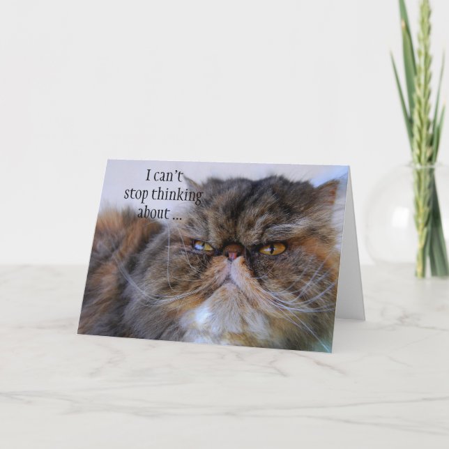 Danke stolzer Kaliko-persische Miezekatze-Karte (Vorderseite)
