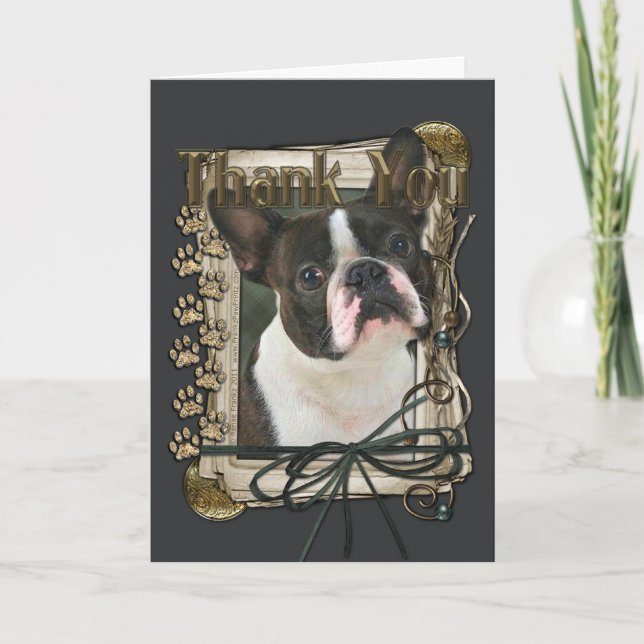 Danke - Stone Paws - Boston Terrier (Vorderseite)