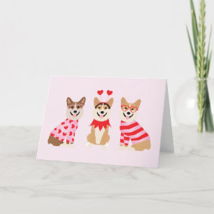 Danke Valentine Pembroke Welsh Corgi Hogs