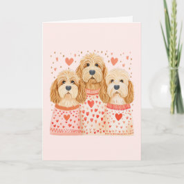 Danke Valentines Goldendoodle Hunde