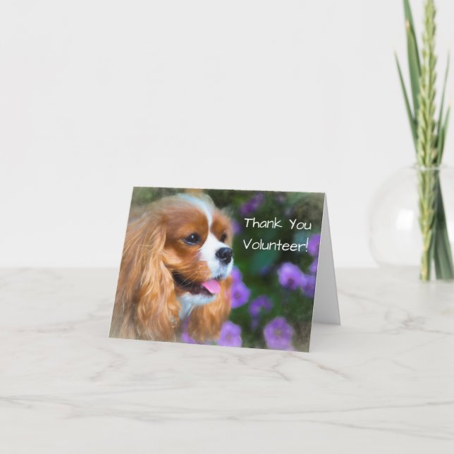 Danke Volunteer Cavalier King Charles Spaniel (Vorderseite)