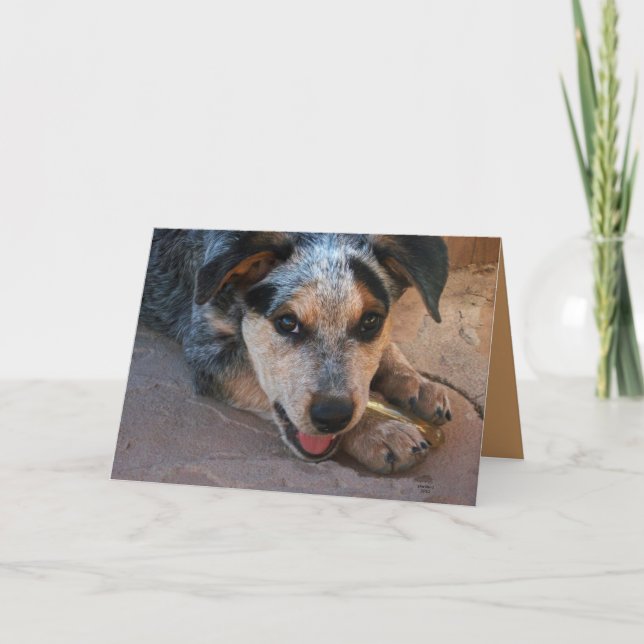 Danke vom Herzen - Hund Lover (Vorderseite)