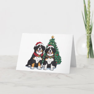Danke Weihnachten Berner Sennenhunde