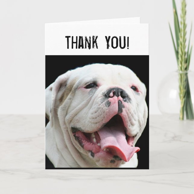 Danke weiße Bulldoggengrußkarte (Vorderseite)