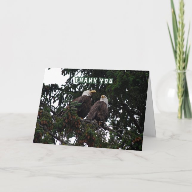 Danke, Weißkopfseeadler-Karte Dankeskarte (Vorderseite)