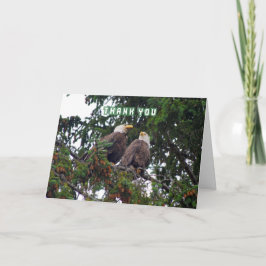 Danke, Weißkopfseeadler-Karte Dankeskarte