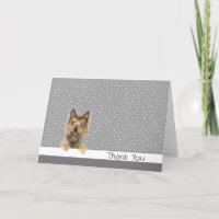 Danke Yorkshire Terrier für Polka Dots