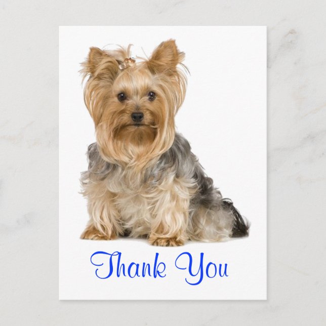 Danke Yorkshire Terrier Puppy Dog Postcard Postkarte (Vorderseite)