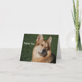 Danke zu kardieren