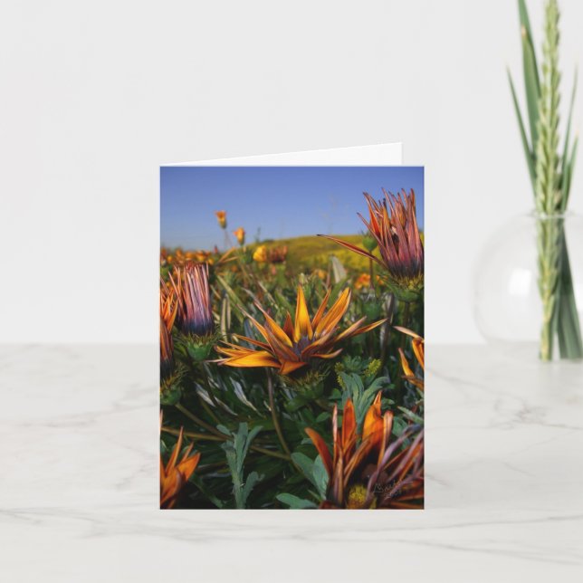 Danke zu merken: Feld der Blumen (Vorderseite)