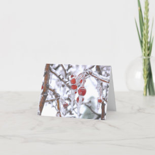 "DANKEN SIE KARTE/ROTE BERRIES IN EISEN / WINTER DANKESKARTE