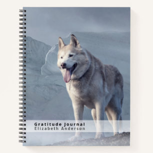 Dankeschön an den HAUSHALT für das Journal GRATITU Notizbuch