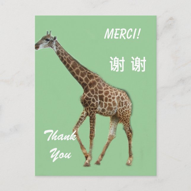 Dankeschön auf Englisch/Französisch/Chinesisch Postkarte (Vorderseite)