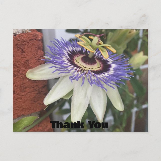 Dankeschön Blume Postkarte (Vorderseite)