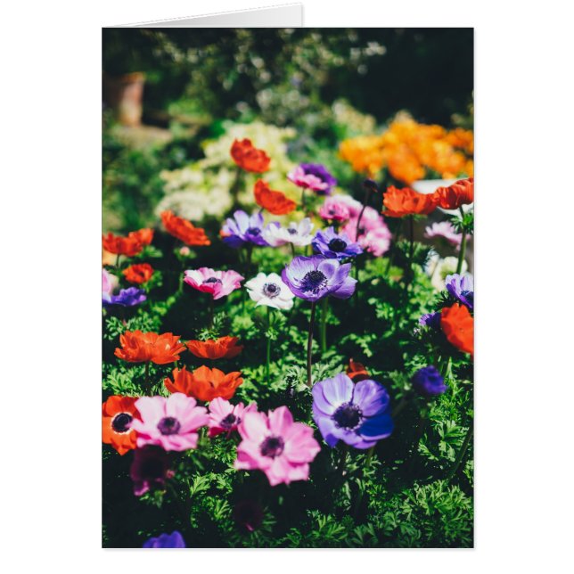 Dankeschön Blumen Garden Grußkarte (Vorne)