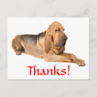 Dankeschön-Bluthund-Hunde-Grußpostkarte