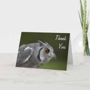 Dankeschön Card - Baby Gray Owl Dankeskarte