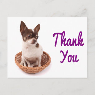 Dankeschön-Chihuahua-Welpen-Hund-Postkarte Postkarte