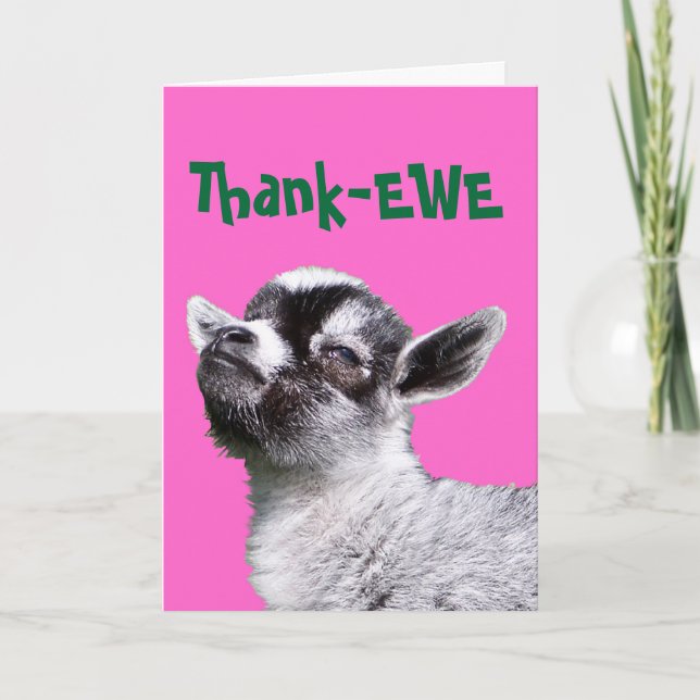 Dankeschön-EWE Miniaturziegenkarte Dankeskarte (Vorderseite)