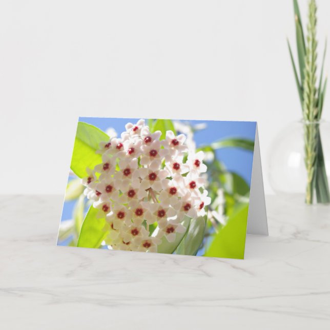 Dankeschön Karte (Vorderseite)