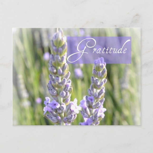 Dankeschön Lavendel florale Postkarte (Vorderseite)