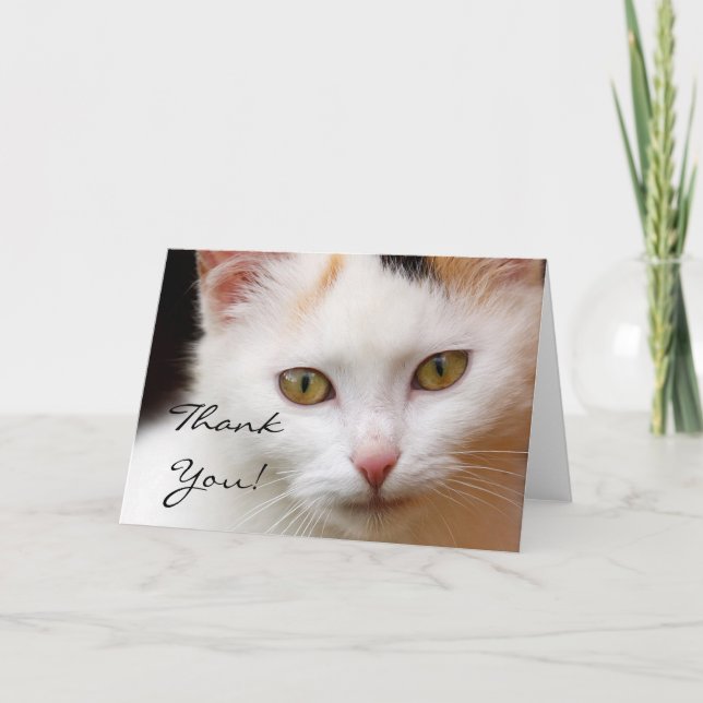 Dankeschön White Cat Grußkarte Dankeskarte (Vorderseite)