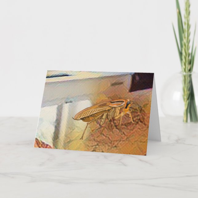 🪳 DANKESKARTE (Vorderseite)